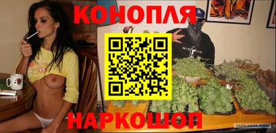 jwh Гусев