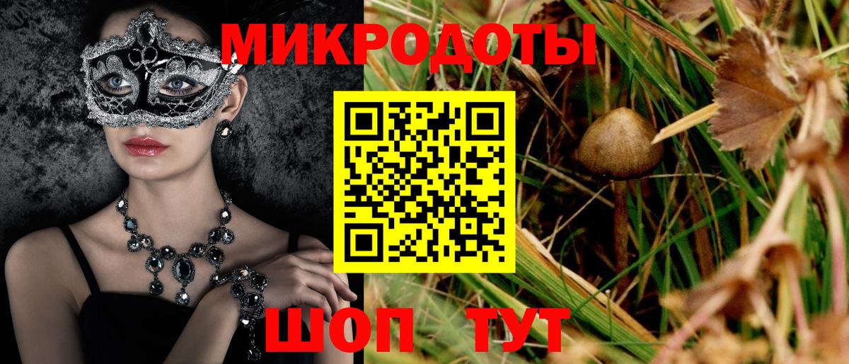 Псилоцибиновые грибы GOLDEN TEACHER  Вход с VPN  Псилоцибиновые грибы мухоморы  Курчатов 