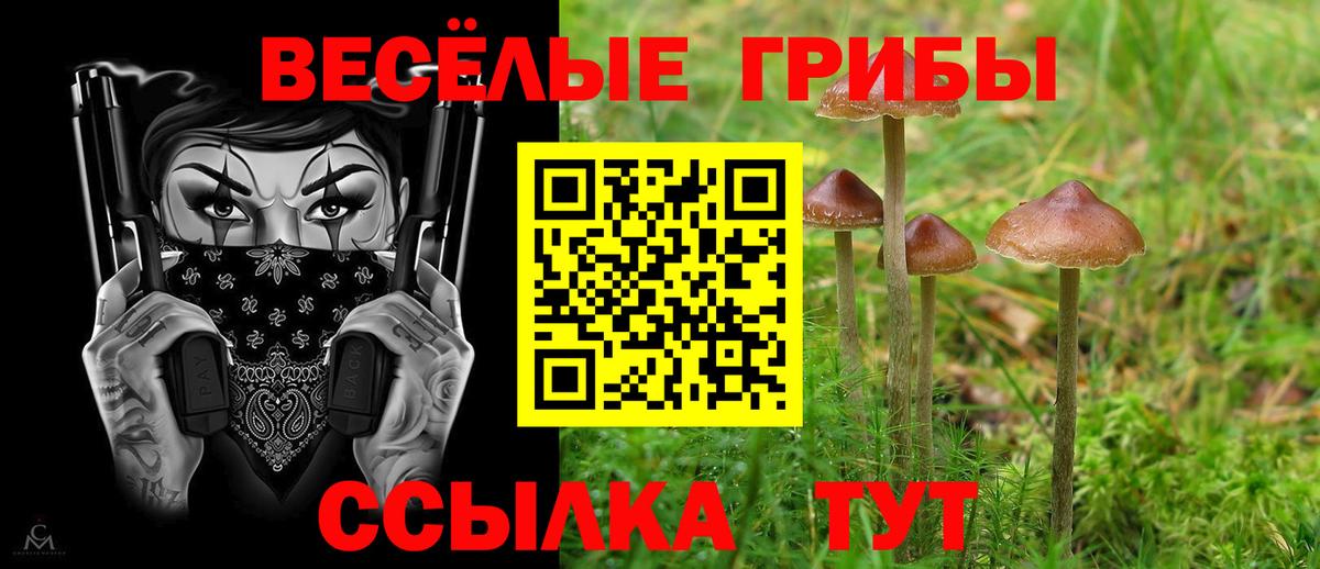Псилоцибиновые грибы ЛСД Курчатов